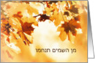 With deepest Sympathy in Hebrew (religious Sephardic) Autumn leaves card