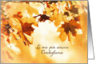 With deepest Sympathy in Italian, Autumn leaves card