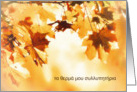 With deepest Sympathy in Greek, Autumn leaves card