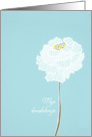 With deepest Sympathy in Polish, delicate white flower card