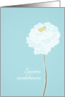 With deepest Sympathy in French, delicate white flower card