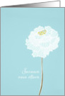 With deepest Sympathy in Finnish, delicate white flower card