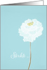 With deepest Sympathy in Dutch, delicate white flower card