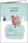 To my wonderful grandson, Christmas card, skating robin card