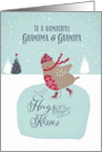 To my wonderful grandma and grandpa, Christmas card, skating robin card