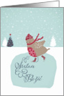 Merry Christmas in bosnian, skating robin card