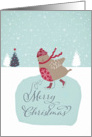 Merry Christmas, Business Christmas card, cute skating robin card