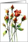Birthday Red Roses with Blessing card