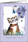 Happy birthday to my Granddaughter, Kitten and butterflies card