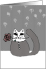 will you marry me - cat with rose card