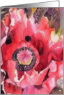 happy birthday, red poppy, christian birthday card