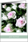 just married- white pink roses card