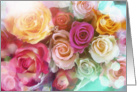 I miss you, thinking of you - dreamy bokeh roses card