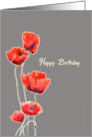 Happy Birthday Poppies Christian Irish Blessing card