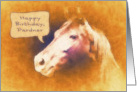Happy Birthday, Pardner, Birthday Card for Kids, Horse card