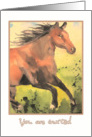 you are invited, kids birthday party, horse card