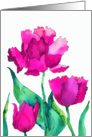 pink tulips, watercolor painting, blank note card