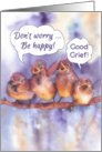 don’t worry, be happy, encouragement, humor, sparrows card
