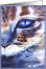 Blank Note Card, Watercolor Painting, Cat with blue Eyes card
