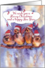 merry christmas, singing birds with red hats, watercolor painting card