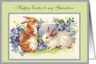 To my Grandson, Happy Easter, Vintage Bunnies card
