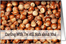 I’m still nuts about you - Darling Wife card