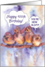 happy 100th birthday, singing sparrows card