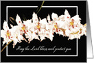 Numbers 6:24, Christian Encouragemet, White Orchids card