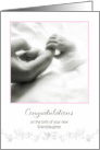 congratulations on the birth of your new Granddaughter, baby girl card