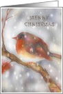 Merry Christmas, Robin, Snowflakes, Watercolor Painting card