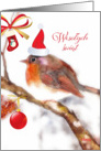 Merry Christmas in Polish, Watercolor, Red Robin card