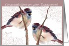 Congratulations on your Engagement, two love birds, watercolor card