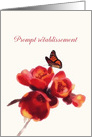 Prompt Rtablissement, Get well soon in French, Flower, Butterfly card