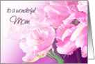 Happy Mother’s day, Mom, pink tulips card
