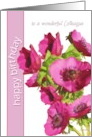 to a Wonderful Colleague Happy Birthday Pink Anemone Flowers card