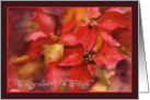 to my Son & family, Christmas card, Poinsettias, watercolor painting card