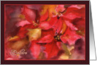 believe, Christian Christmas card, Poinsettia, watercolor painting card