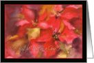 A Blythe Yule, Merry Christmas in Scots , poinsettias, card