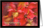 Καλά Χριστούγεννα, Merry Christmas in Greek, poinsettia card