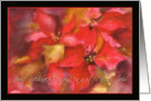 frohe Weihnachten, Merry Christmas in German, poinsettia card