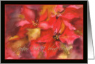 Joyeux Nol et bonne Anne, Merry Christmas in French, poinsettia card