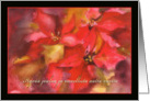Hyv joulua, Merry Christmas in Finnish, poinsettia card