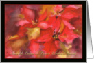 Nadelik Looan, Merry Christmas in Cornish, poinsettia card