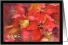 Merry Christmas in Chinese, Sheng Dan Kuai Le, poinsettia card