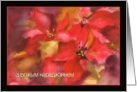 Merry Christmas in Belarusian, З Божым нараджэннем, poinsettia card