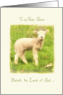 to my Foster parents, Christian Easter card, John 1:29 card