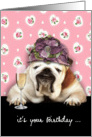happy birthday for her, getting older, humorous female bulldog, hat card