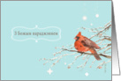 Merry Christmas in Belarusian, red cardinal bird, watercolor card