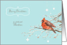 Merry Christmas to a dedicated volunteer, red cardinal, watercolor card