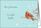 merry Christmas to a valued supplier, business card, cardinal card